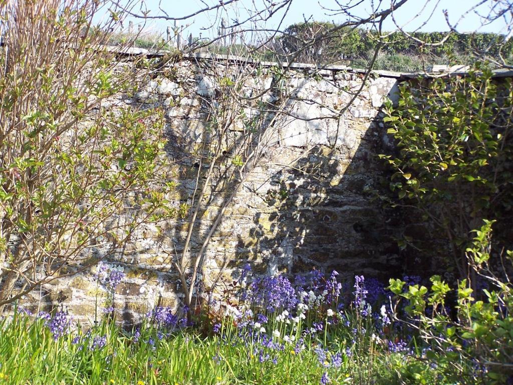 The Old Parsonage Bed and Breakfast Boscastle Exteriör bild