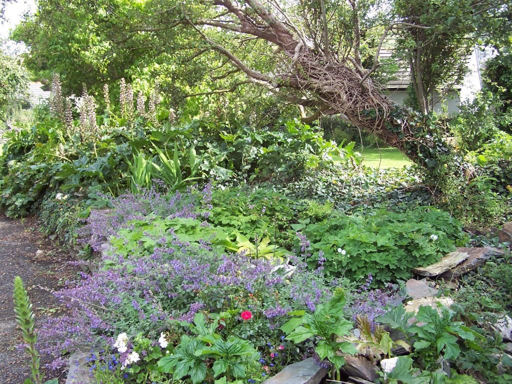 The Old Parsonage Bed and Breakfast Boscastle Exteriör bild