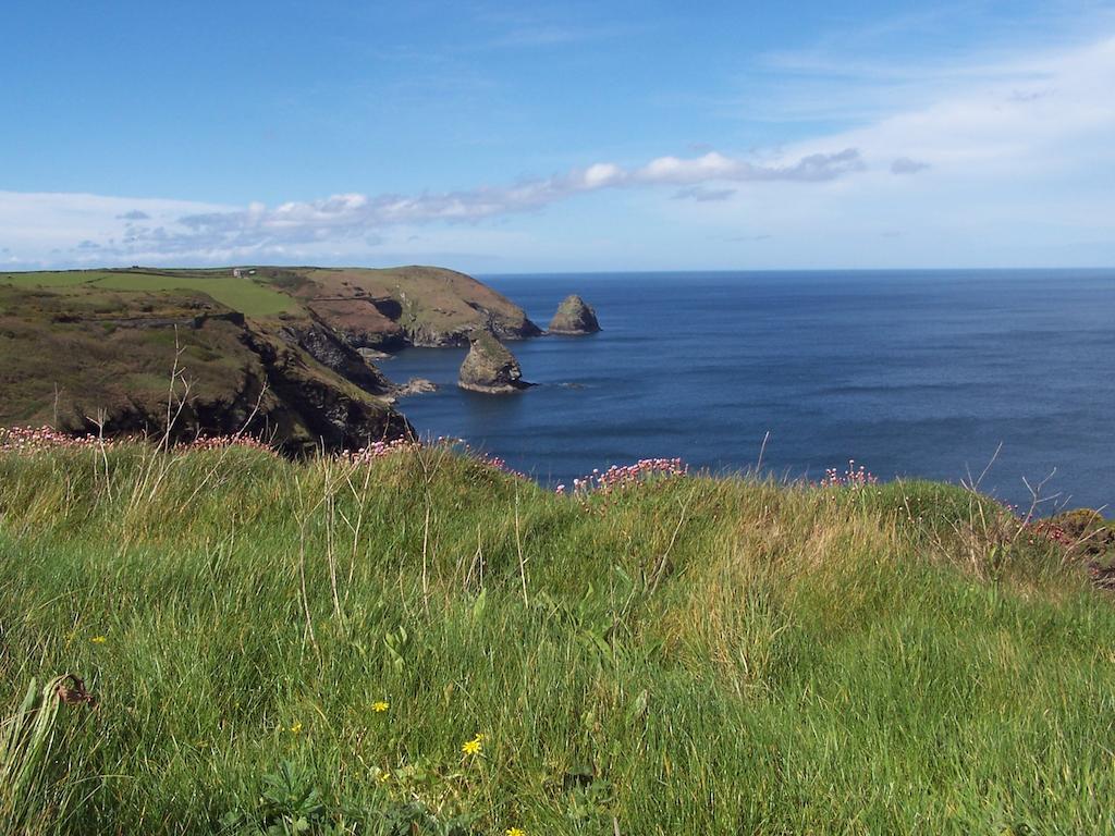 The Old Parsonage Bed and Breakfast Boscastle Exteriör bild