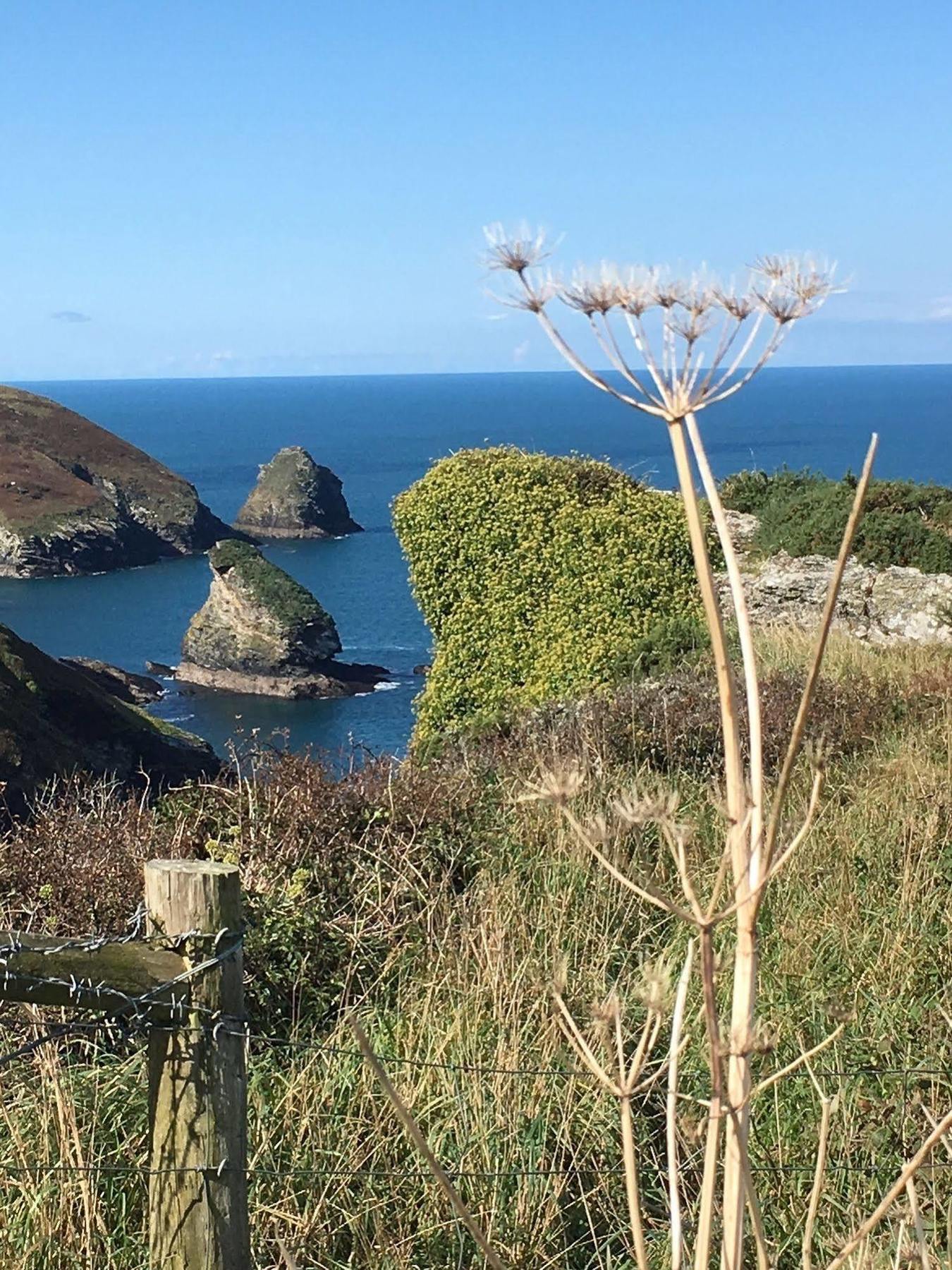 The Old Parsonage Bed and Breakfast Boscastle Exteriör bild